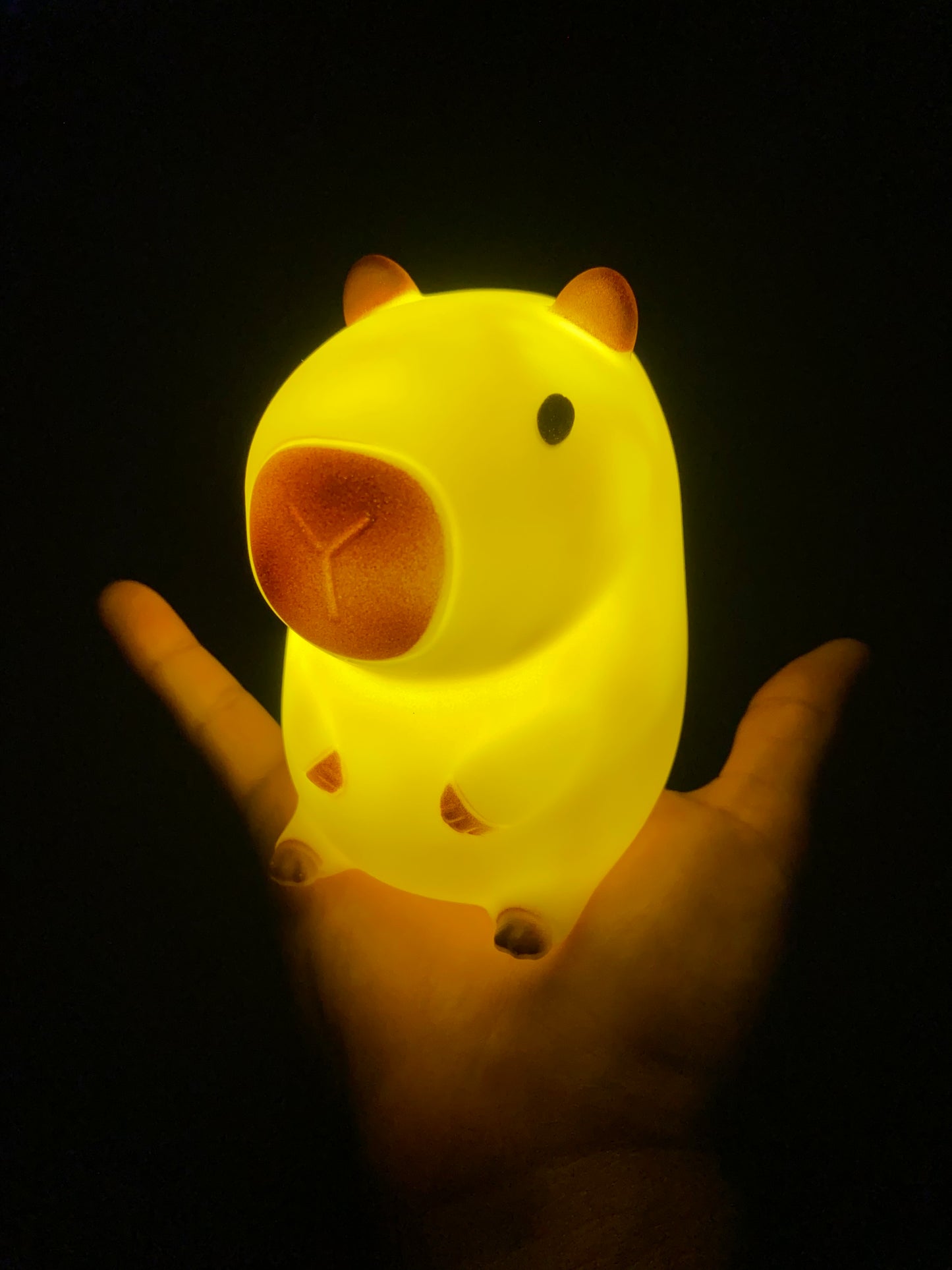 Glow Capybara Light