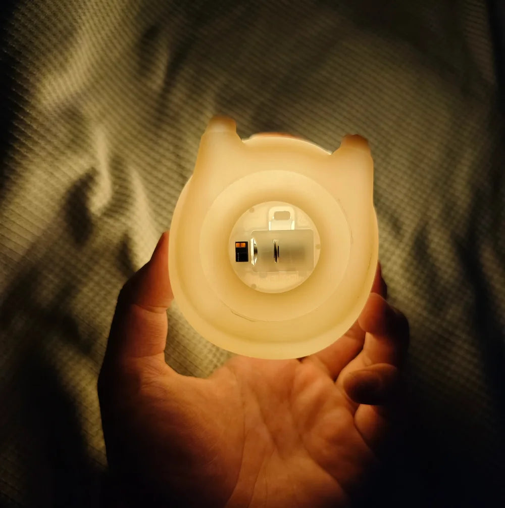 Glow Capybara Light